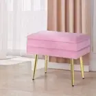 NNEDSZ Artiss Ottoman Storage Foot Stool Vanity Velvet Pink