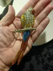 NEW KIRKS FOLLY PARROT PIN/ PENDANT SIGNED AND BEAUTIFUL