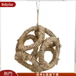 BSKYLAR BIRD PARROT SWING TOYS 吊床環玩具防啃防滑站立懸掛鱸魚籠配件適用於