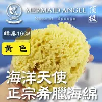 在飛比找momo購物網優惠-【蜂巢海綿-黃色16公分】頂級希臘天然海綿(海洋天使 Mer