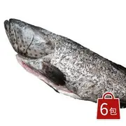 【漁爸fish8】 (6尾免運)特大龍虎石斑900g-1000g/尾