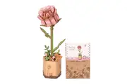 Robotime 3D Puzzle Flowers Wooden Model Kits For Adults To Build Artificial Decoration Home Accessories Living Room Gifts Women On Valentine's Day Tw0