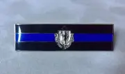 Massachusetts Flag Thin Blue Line Pin