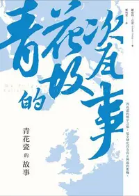 在飛比找露天拍賣優惠-青花瓷的故事[二手書_普通]0646 TAAZE讀冊生活