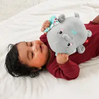 在飛比找Yahoo奇摩購物中心優惠-奇哥 Fisher-Price 費雪 安撫睡眠大象