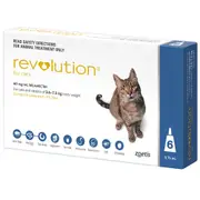 Revolution Cat Blue 6's