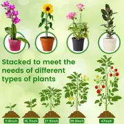 40Pcs Plant Stakes Adjustable Plant Support Sticks with 40 Rings and 20 jewWc