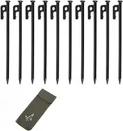 HopingMore 25cm Carbon Steel Tent Stakes 21 Pcs Kit- 10 Heavy Duty Metal Tent Pegs w/ 10 Glow Rings & 1 Storage Bag-Camping Stake Peg Accessories,Durable Ground Anchors for Yard Outdoor Canopy Tarp