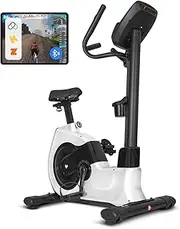 [Lifespan Fitness] EXC-100 Commerical Exercise Bike