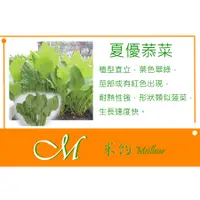 在飛比找蝦皮購物優惠-《Meilleur》夏優菾菜(茄茉菠菜)種子10元4g