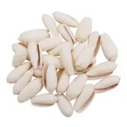20 pcs Natural Snail Shells White Seashells Beach Wedding Nautical Decor 2-3 cm
