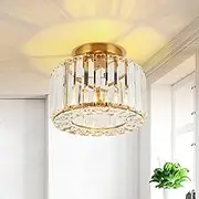 FORCOSO Crystal Ceiling Light Diameter 23 cm, Chandelier Gold with Metal Frame Lampshade, Base E27 Ceiling Light, Modern Lamp for Bedroom, Living Room, Hallway, Kitchen, Dining Room