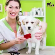 Disposable Flea Pet Comb