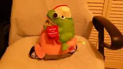 Valentine's Day Singing & Moving Animated Plush Frog Sings " RIDING SOLO " New