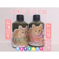 在飛比找蝦皮購物優惠-現貨🔜🚚 PetBest 健康彩食貓草罐/加花苞貓草罐  有