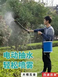 在飛比找Yahoo!奇摩拍賣優惠-充電式電動噴壺洗車抽水澆花灑水噴霧器園藝水槍噴槍打藥家用-四