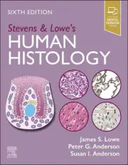 Stevens & Lowe's Human Histology by James S. Lowe Paperback Book