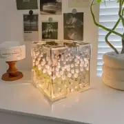 DIY Tulip Night Light Cube Mirror Tulip Lamp Decorative Tulip Mirror Lamp