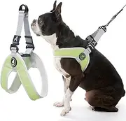 Gooby - Simple Step-in Harness III, Small Dog Harness Scratch Resistant Breathable Mesh, Green, Large