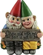 dwk growing old together - garden gnome couple in love collectible figurine