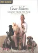 Cesar Millan's Lessons from the Pack ― Stories of the Dogs Who Changed My Life