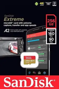 在飛比找Yahoo!奇摩拍賣優惠-SANDISK EXTREME TF 256G 256GB 