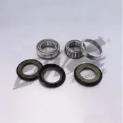 BW Steering Head Bearing Kit for Beta XTRAINER 300 2015-2018 (90-150-02H)