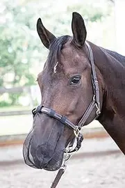 Reitsport Amesbichler Nose Fly Protection for Horses Nostril Protection Insect Muzzle Black Pony