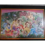 迪士尼公主與彩虹小馬拼圖含木框