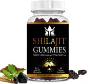 Pure Himalayan Shilajit Gummies for Metabolism Support – Natural Energy Boost...