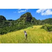 Save 10.00%! Koroyanitu National Heritage Park Fiji - Hike - Waterfall