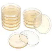 10pcs Agar Plates Prepoured Petri Dish Science Experiment Supplies