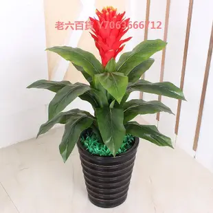 精品假花鴻運當頭仿真花落地假樹塑料裝飾花大型仿真植物盆栽客廳擺設