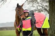 Equisafety Charlotte Dujardin Hi Vis Multi Coloured Horse Sheet - Pink/Yellow Horse - Horse