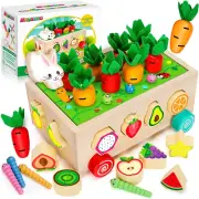 BAYSING Montessori Toys for 2,3,4 Year Old Baby Boys and Girls, Carrots Harve...