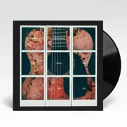 All The Truth That I Can Tell (Vinyl)