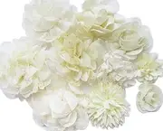 XiXiboutique 12pcs Chiffon Flower Fabric for Girls Headband Baby Flowers Bows,Crafts,Party Decoration(2.5"-4.5",Ivory Mix)