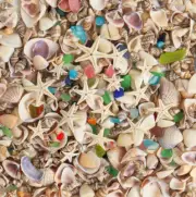 Tiny Sea Shells for Crafting,7 Ounces Mixed Mini Seashells with Sea Glass 20 Pcs