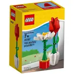 🧚‍♀️ANGEL🧚‍♀️ LEGO-40187 FLOWER DISPLAY(現貨）