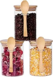 Glass Jars with Airtight bamboo Lid and Spoon, Overnight Oats Containers Glass Food Storage Jars, Coffee Beans Tea Flour Sugar Nuts Candy Bath Salts Loose Tea Coffee Containers 17 OZ liquid (3PCS)