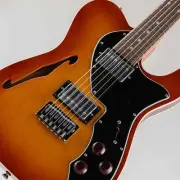 FREEDOM CUSTOM GUITAR RESEARCH C.S. TE Pepper Semi Hollow SSB