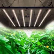 4500W Spider LED Grow Light Bar Full Spectrum Indoor Plant Light 5x5ft Grow Tent