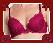 38DD Claret Red LACE Dream Angels Velvet Strap Charm Victorias Secret PU UW Bra