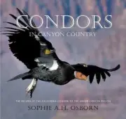 Condors in Canyon Country : The Return of the California Condor to the Grand...