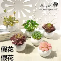 在飛比找蝦皮購物優惠-假花仿真多肉植物盆栽創意客廳桌面綠植植物擺件物架裝飾品裝飾