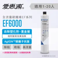 在飛比找蝦皮購物優惠-【EVERPURE 愛惠浦】EF6000 碳纖活性碳濾心 (