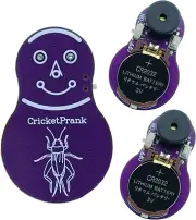 Cricket Noise Maker Prank (3 PCS), Beeping Several Months, Hidden Prank Noise Ma