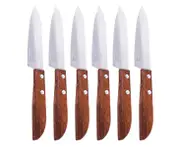 KIWI 12PCE Fruit Knife Premium Professional Range Tempered Steel Blade 19.5cm