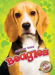 Beagles - 9781626172371