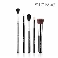 在飛比找momo購物網優惠-【Sigma】最想要刷具五件組 Most-Wanted Br